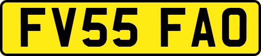 FV55FAO