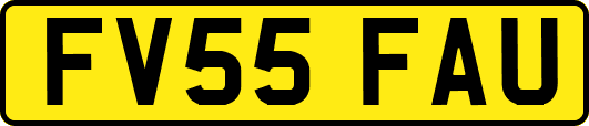 FV55FAU