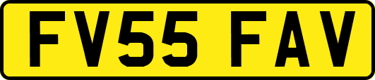 FV55FAV