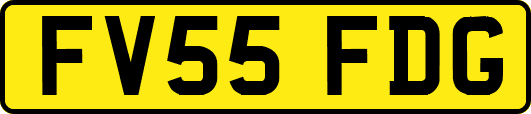 FV55FDG