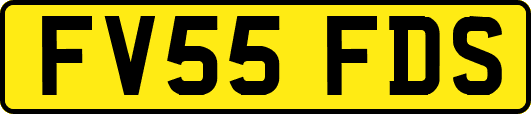 FV55FDS