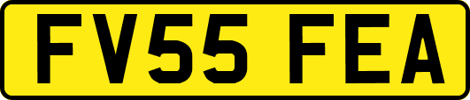 FV55FEA
