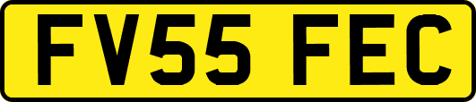 FV55FEC
