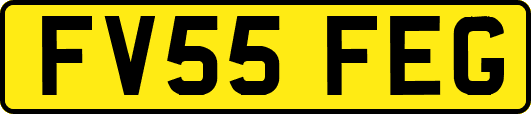 FV55FEG