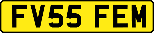 FV55FEM