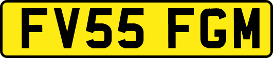 FV55FGM