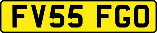 FV55FGO