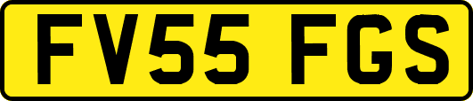 FV55FGS