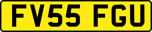 FV55FGU