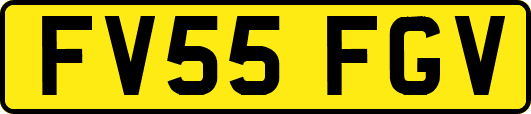 FV55FGV