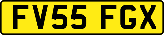 FV55FGX