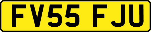 FV55FJU