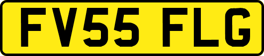 FV55FLG