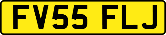 FV55FLJ
