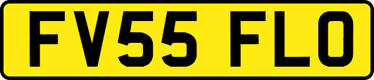 FV55FLO