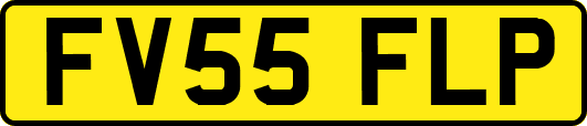 FV55FLP