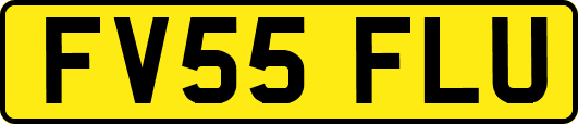 FV55FLU