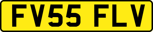 FV55FLV