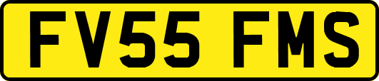 FV55FMS