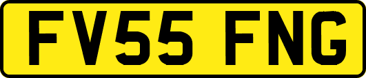 FV55FNG