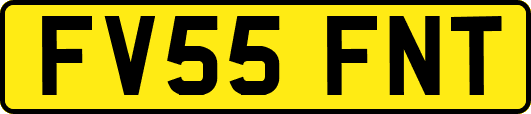 FV55FNT