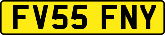 FV55FNY