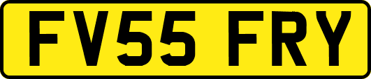 FV55FRY