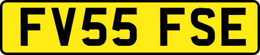 FV55FSE