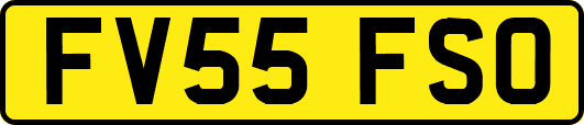 FV55FSO
