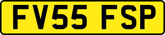 FV55FSP