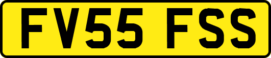 FV55FSS