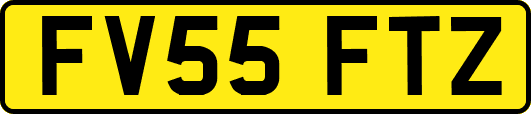 FV55FTZ