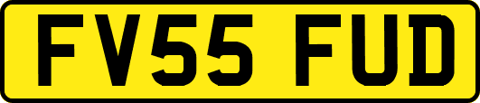FV55FUD