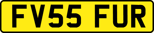 FV55FUR