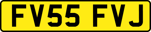 FV55FVJ