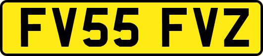 FV55FVZ