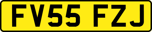 FV55FZJ