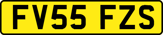 FV55FZS