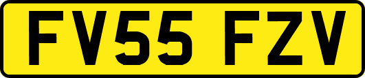 FV55FZV