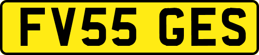 FV55GES