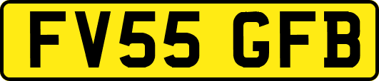 FV55GFB