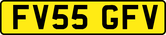 FV55GFV