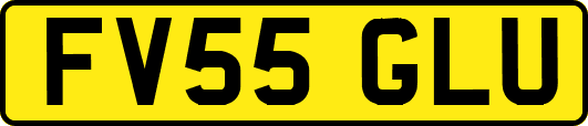 FV55GLU