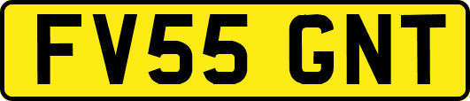 FV55GNT