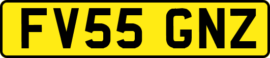 FV55GNZ