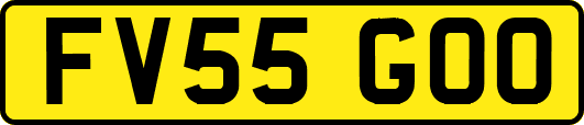 FV55GOO