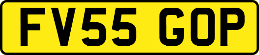 FV55GOP
