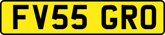 FV55GRO