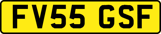 FV55GSF