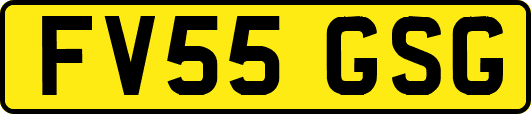 FV55GSG